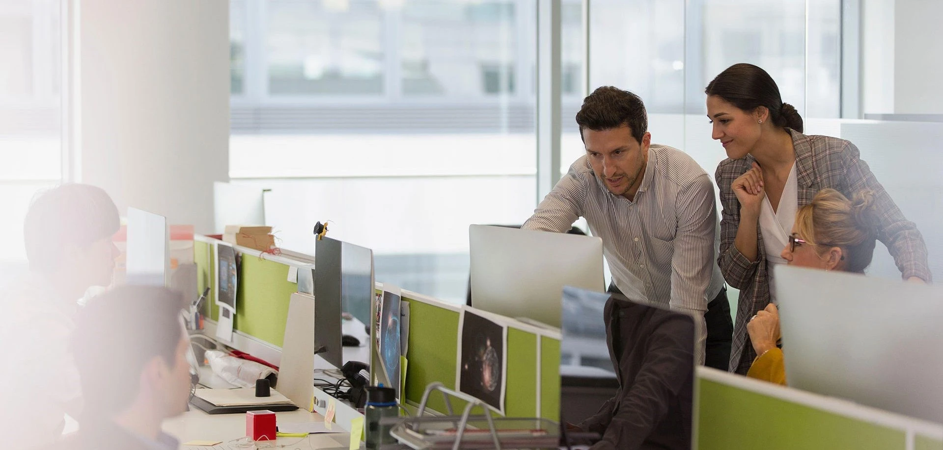 Employees are working at computers in the office.